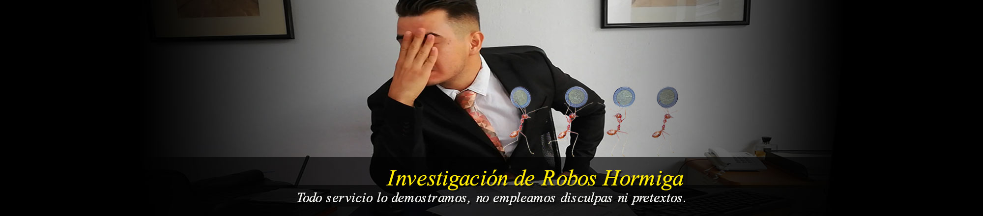 Investigación de Robos Hormiga